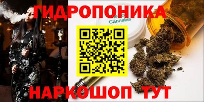 Альфа ПВП Северобайкальск