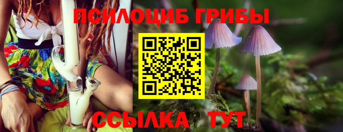 Псилоцибиновые грибы GOLDEN TEACHER Вятские Поляны